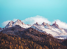 九游平台-吴艳妮退赛，莫家蝶8秒21摘得全国室内田径大奖赛60米栏冠军